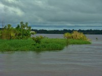 /album/galeria-de-fotos/borba-206-jpg/